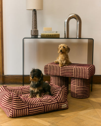 Urban weave sofa dog bed
