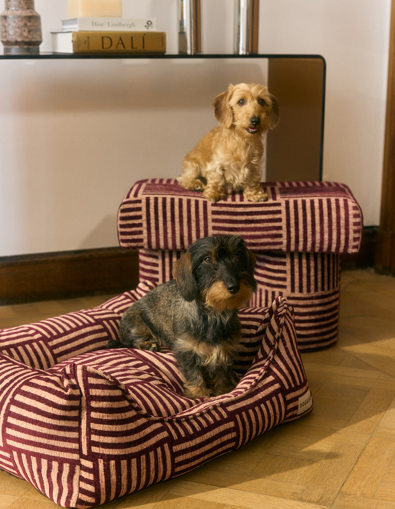 Urban weave sofa dog bed