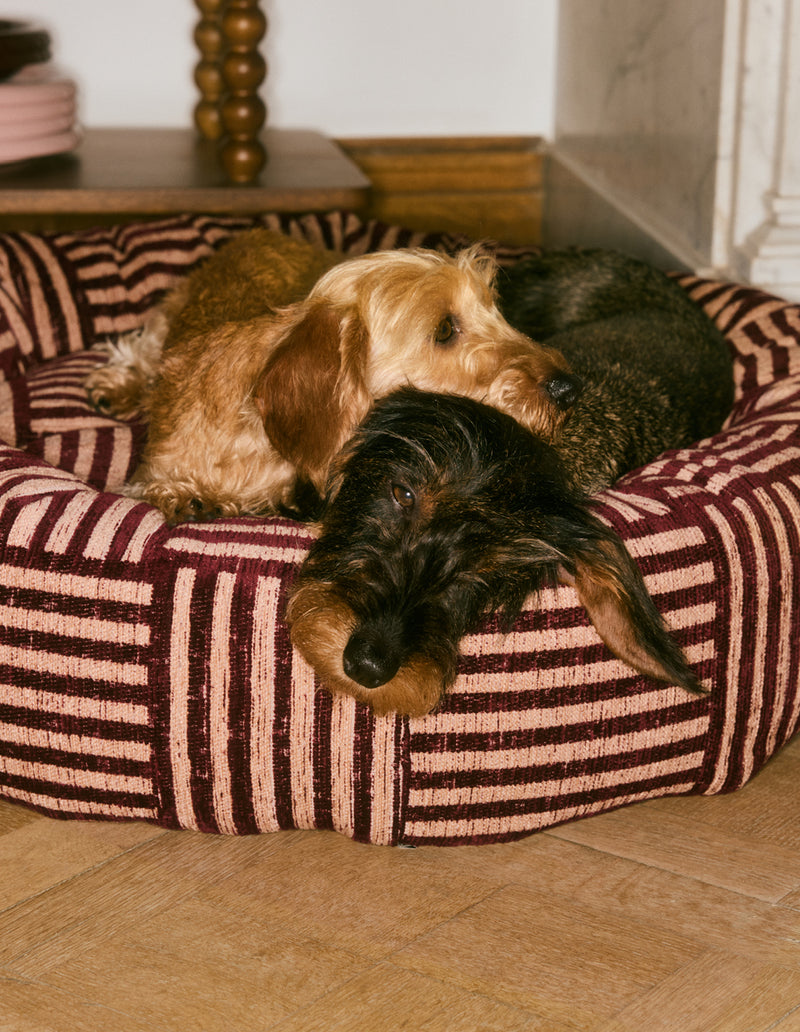 Urban weave round dog bed