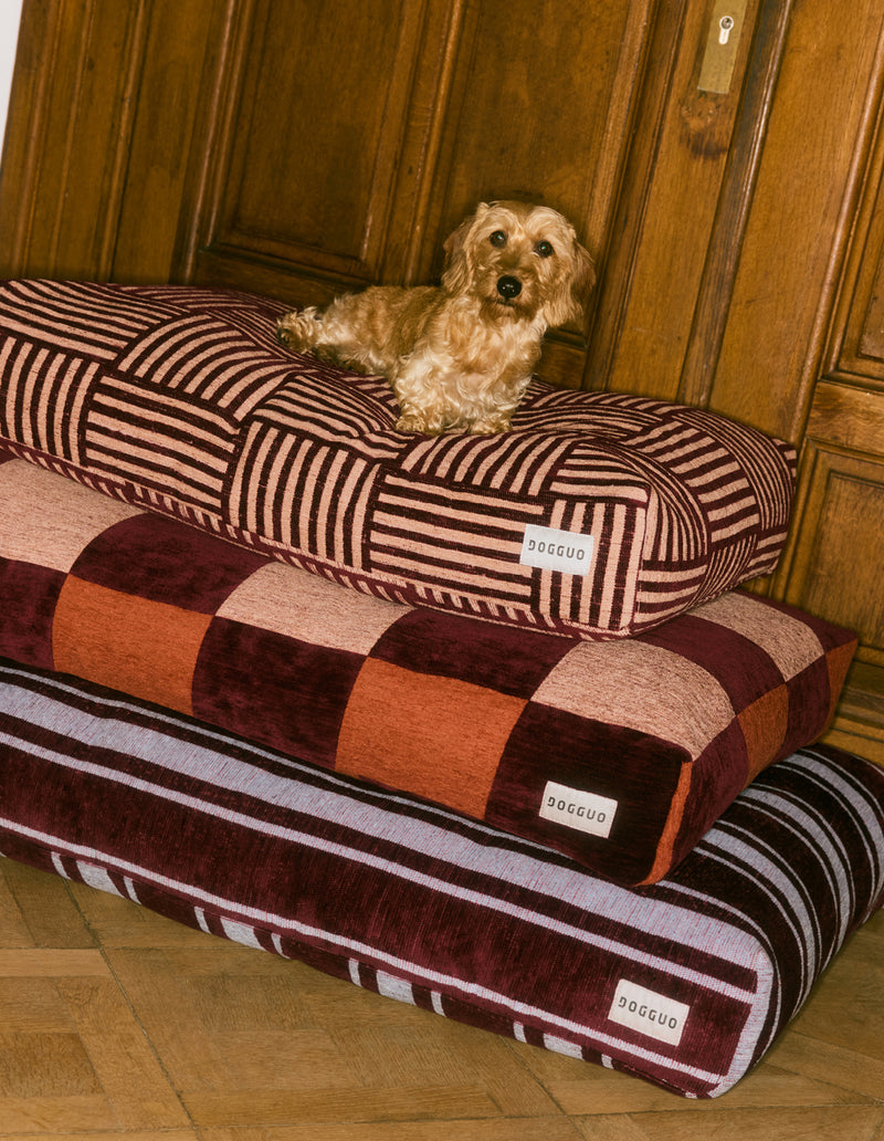 Block dog bed