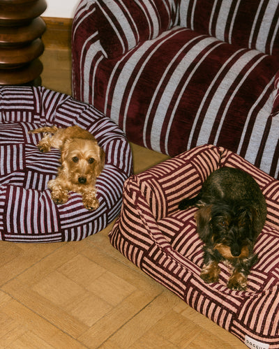 Urban weave round dog bed second image
