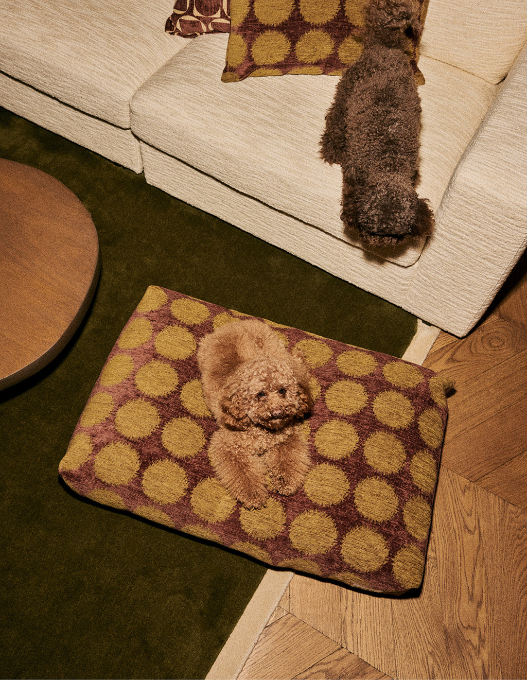 Dot dog bed
