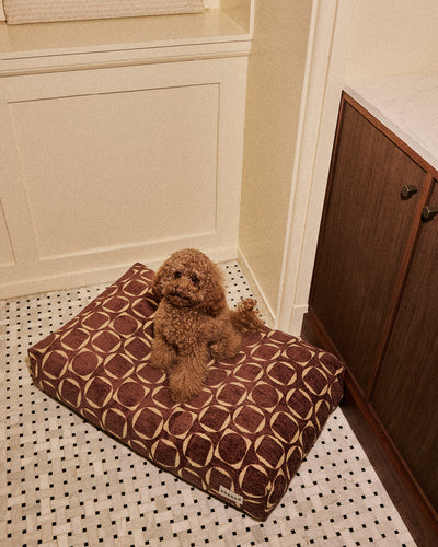 Retro hondenmand  second image