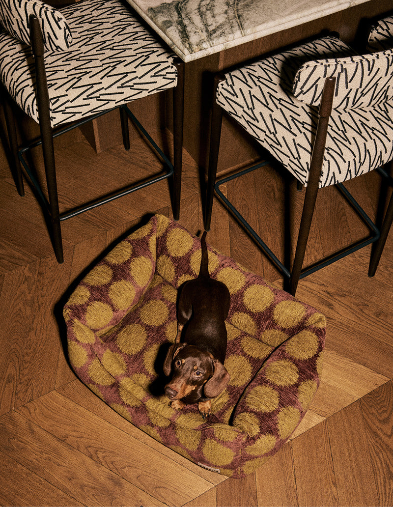 Stip sofa hondenmand - Verzending rond 3 februari