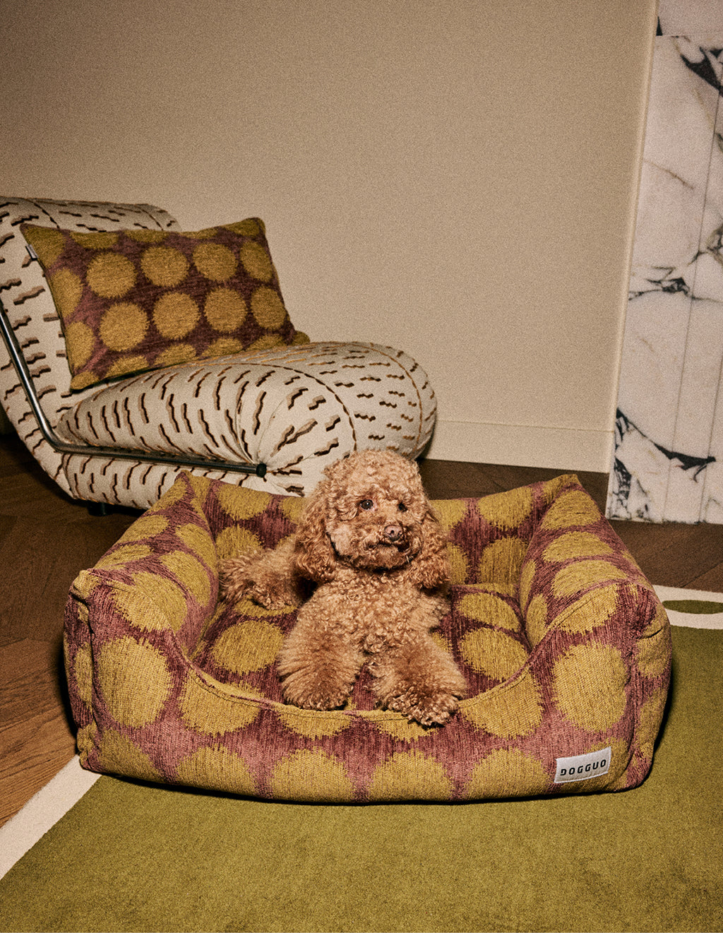 Dot sofa dog bed