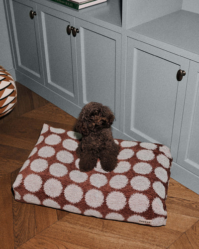 Dot dog bed