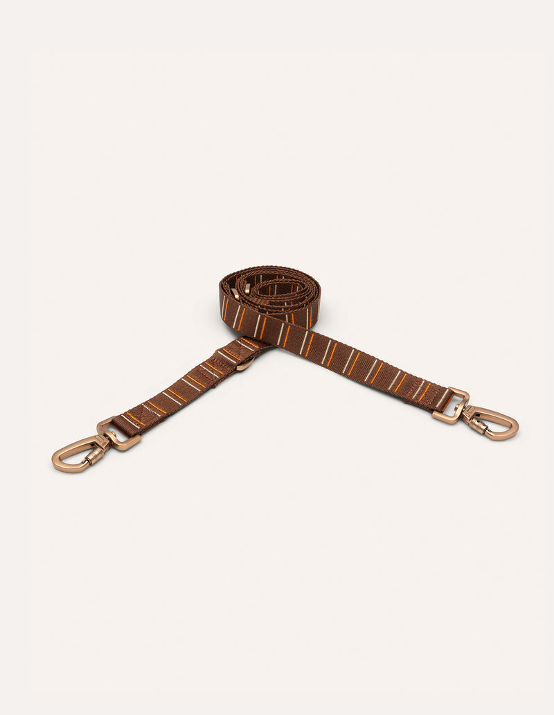 Stripe dog leash