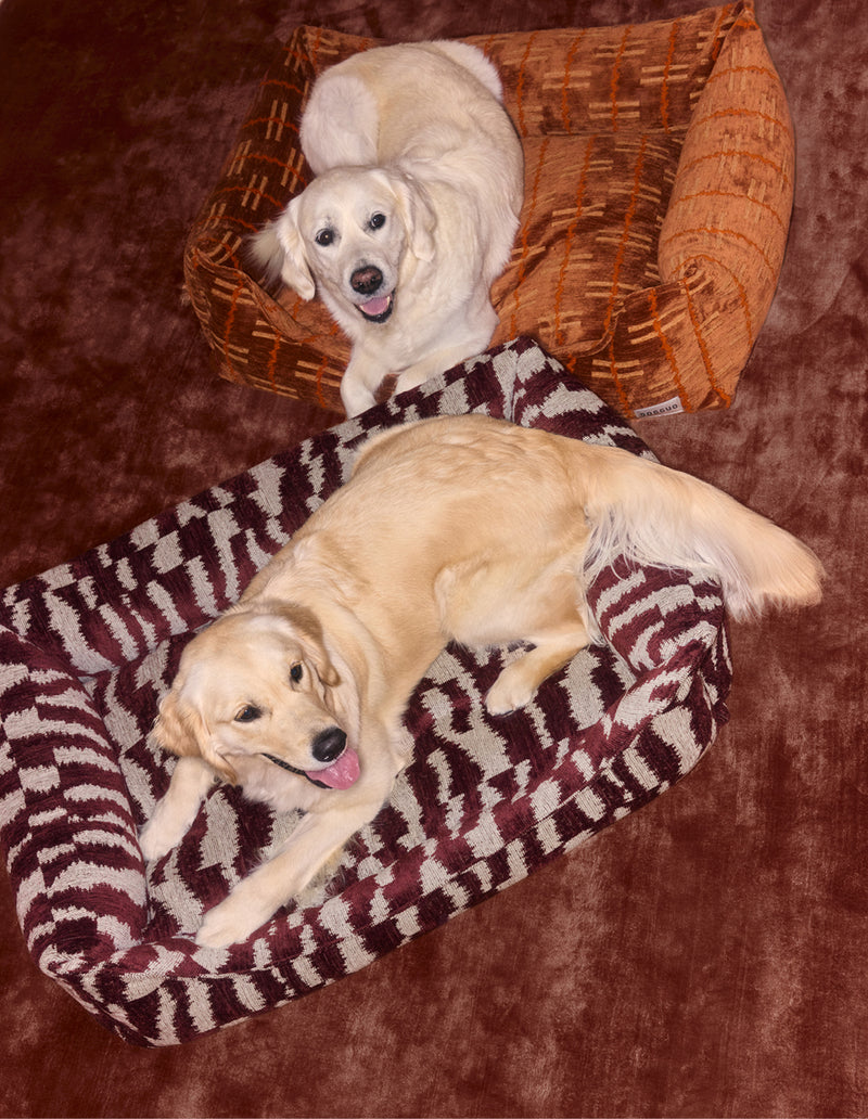 Ikat zigzag sofa dog bed