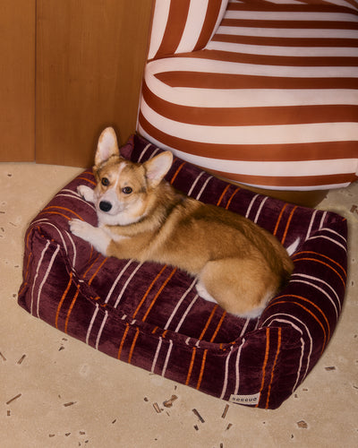 Canapé pour chien Heritage Stripe