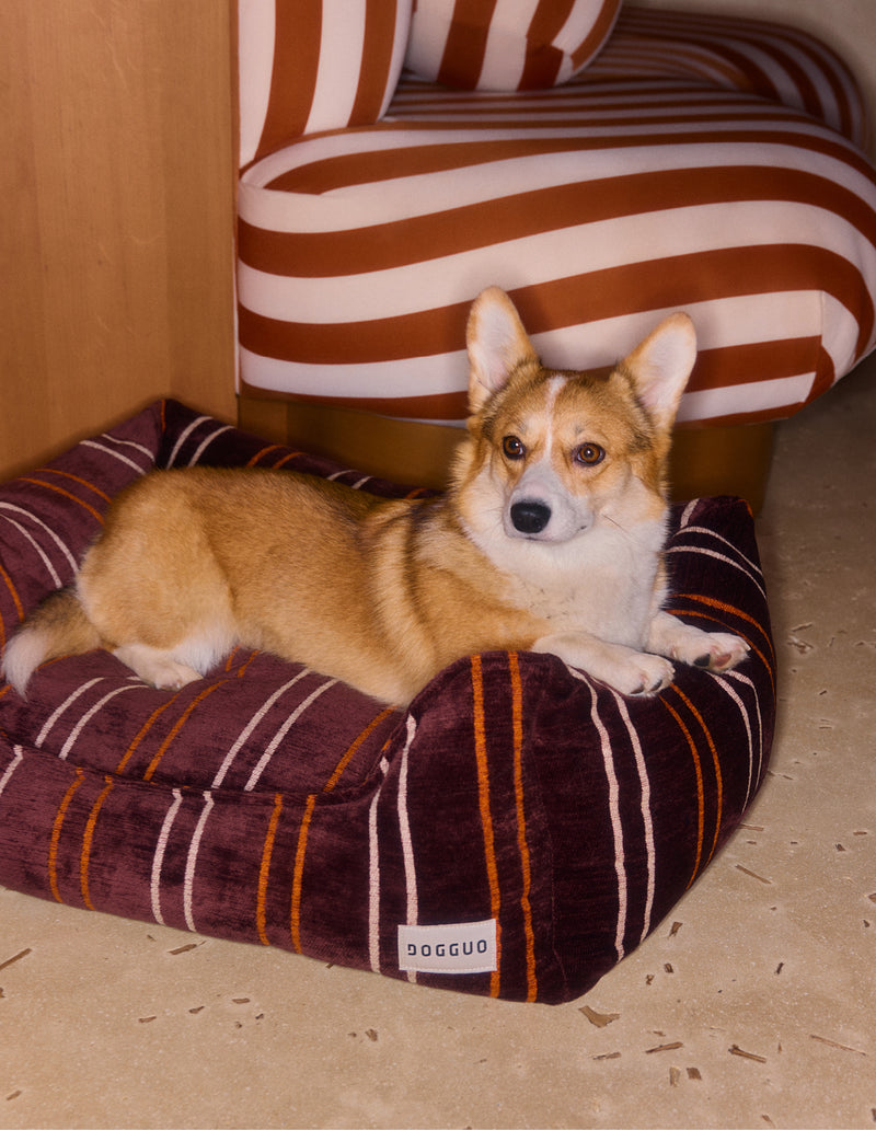 Heritage stripe sofa dog bed