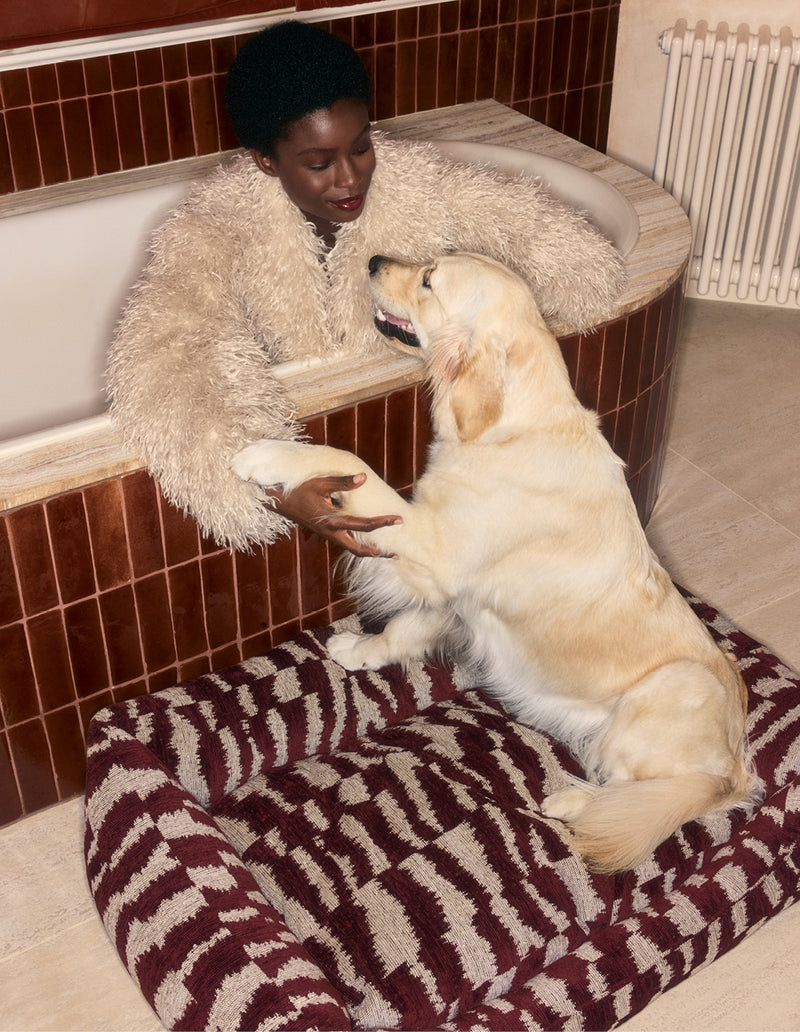 Ikat zigzag sofa dog bed