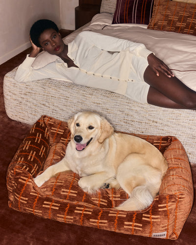 Mesa Sofa-Hundebett