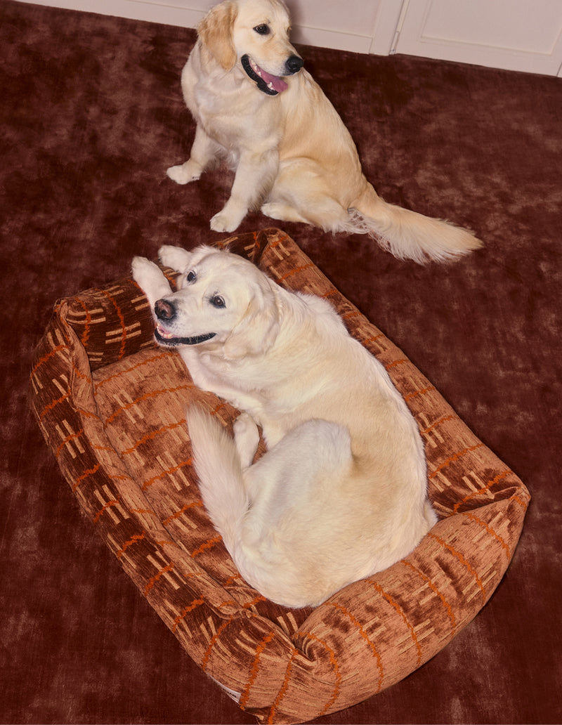 Mesa sofa dog bed