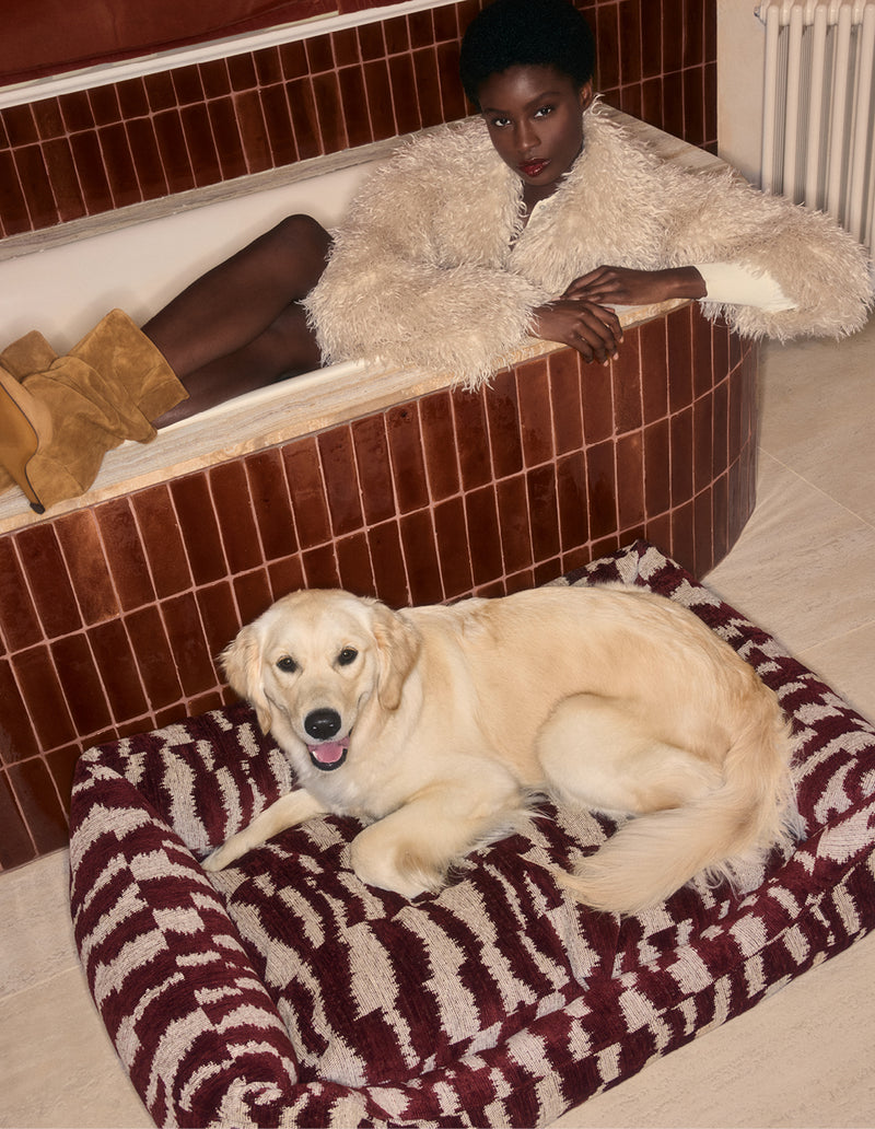 Ikat zigzag sofa dog bed