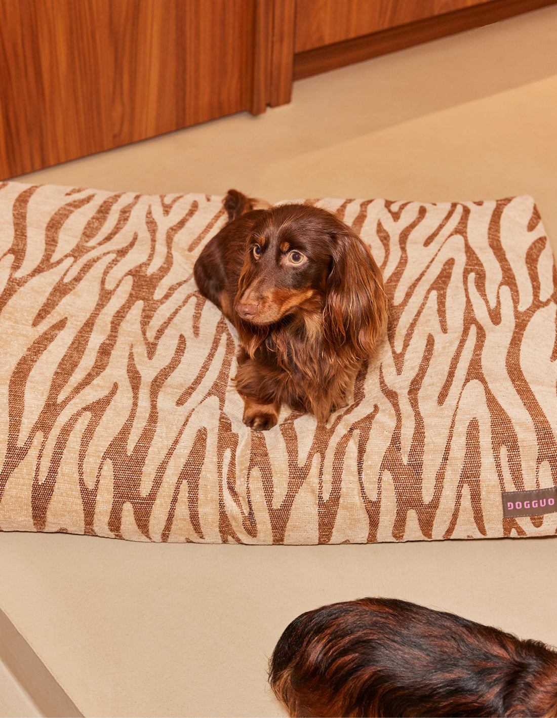 ZEBRA DOG BED - BROWN / BEIGE