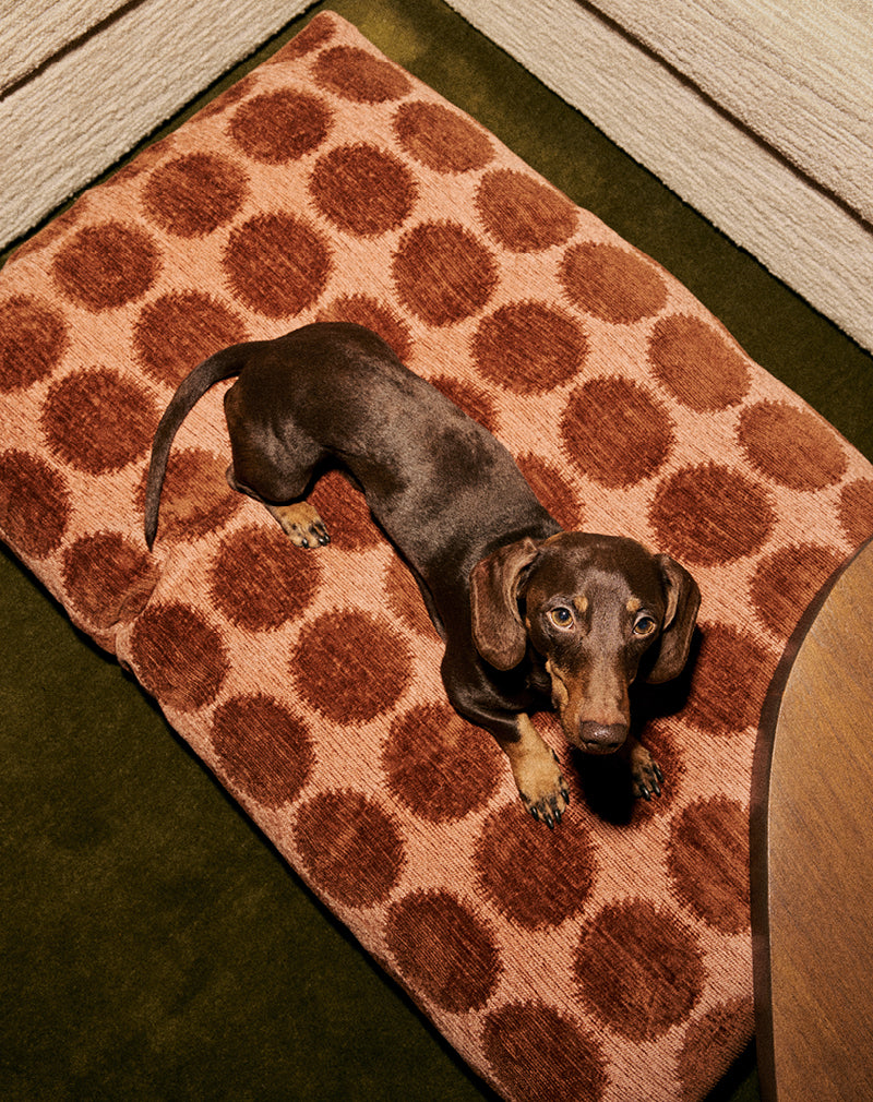 Punkt Hundebett