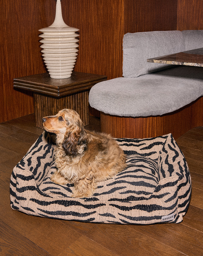 Zebra sofa