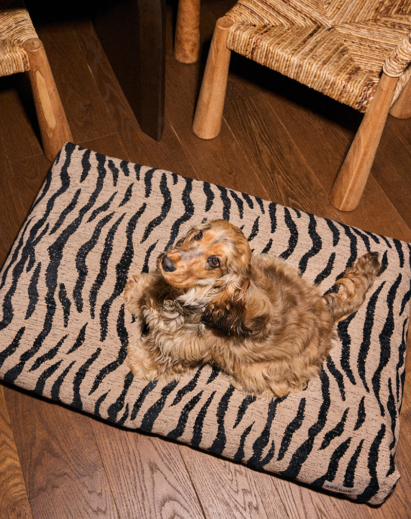 Coussin pour chien Zebra