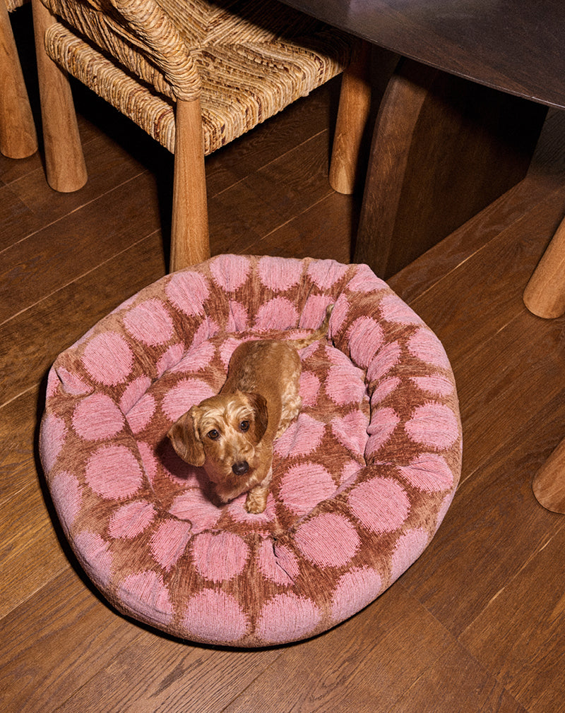 Dot round dog bed