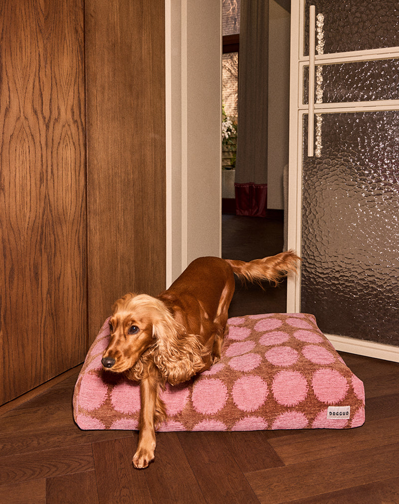 Dot dog bed