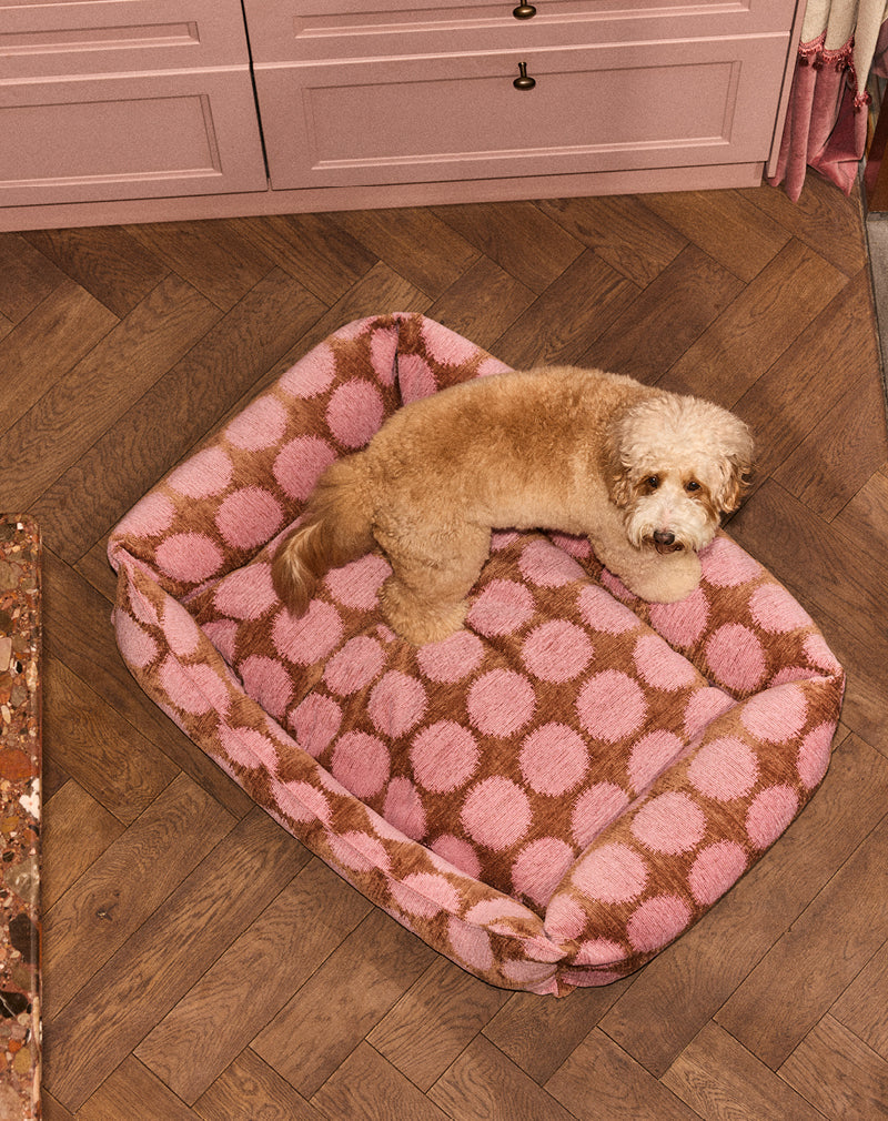 Punkt-Sofa-Hundebett