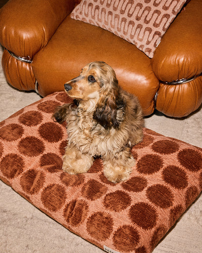 Dot dog bed