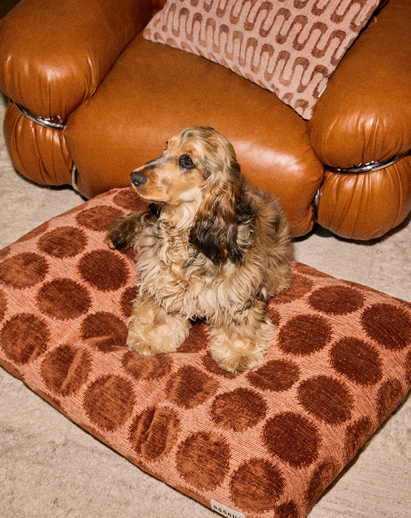 Punkt Hundebett