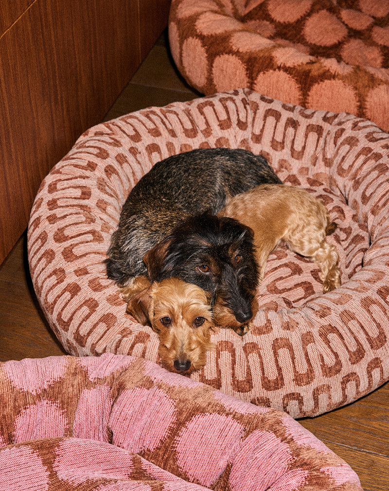 Retro wave round dog bed