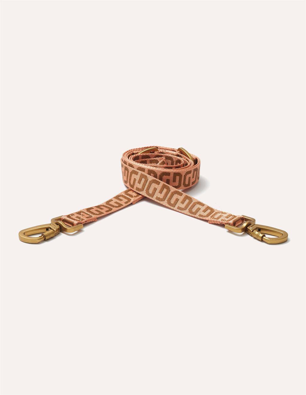 DG dog leash