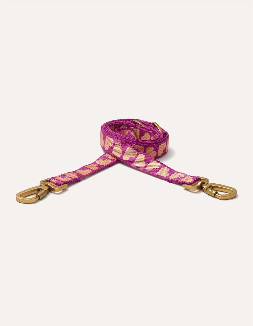 Heart dog leash