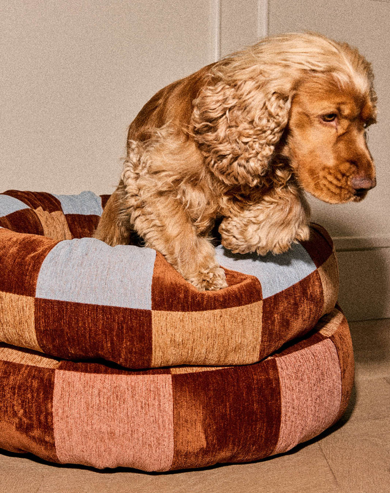 Block round dog bed