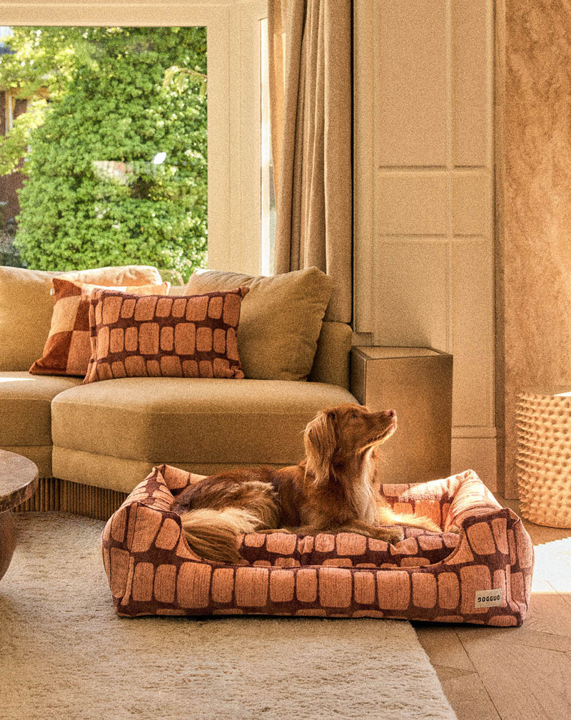 Staple stones sofa dog bed