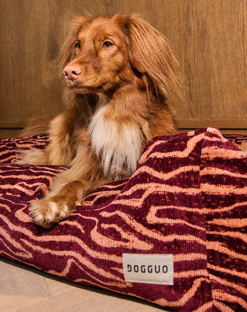 Ethnic sofa dog bed