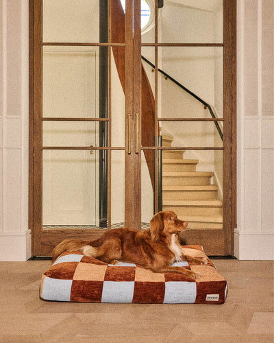 Block dog bed