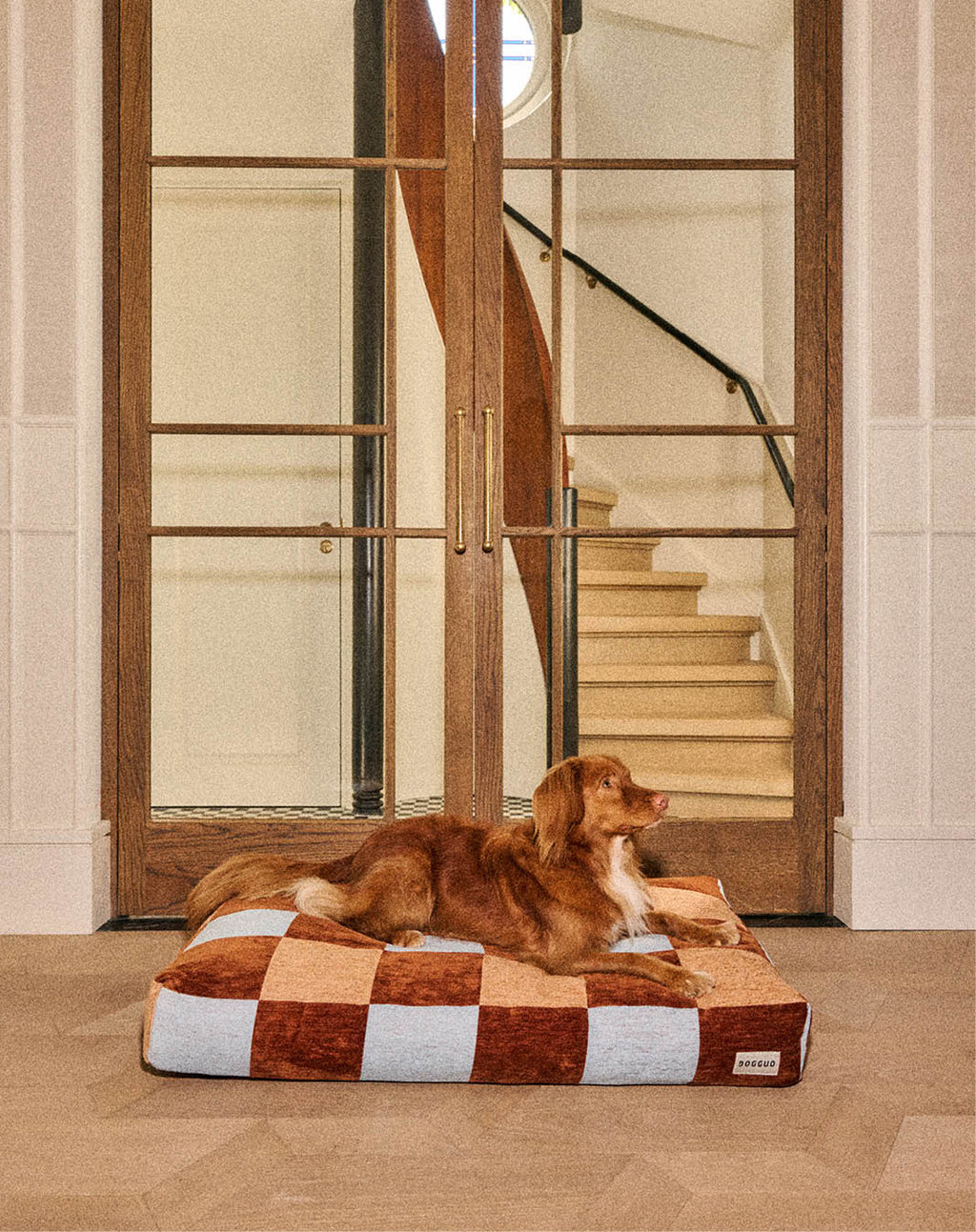 Block dog bed