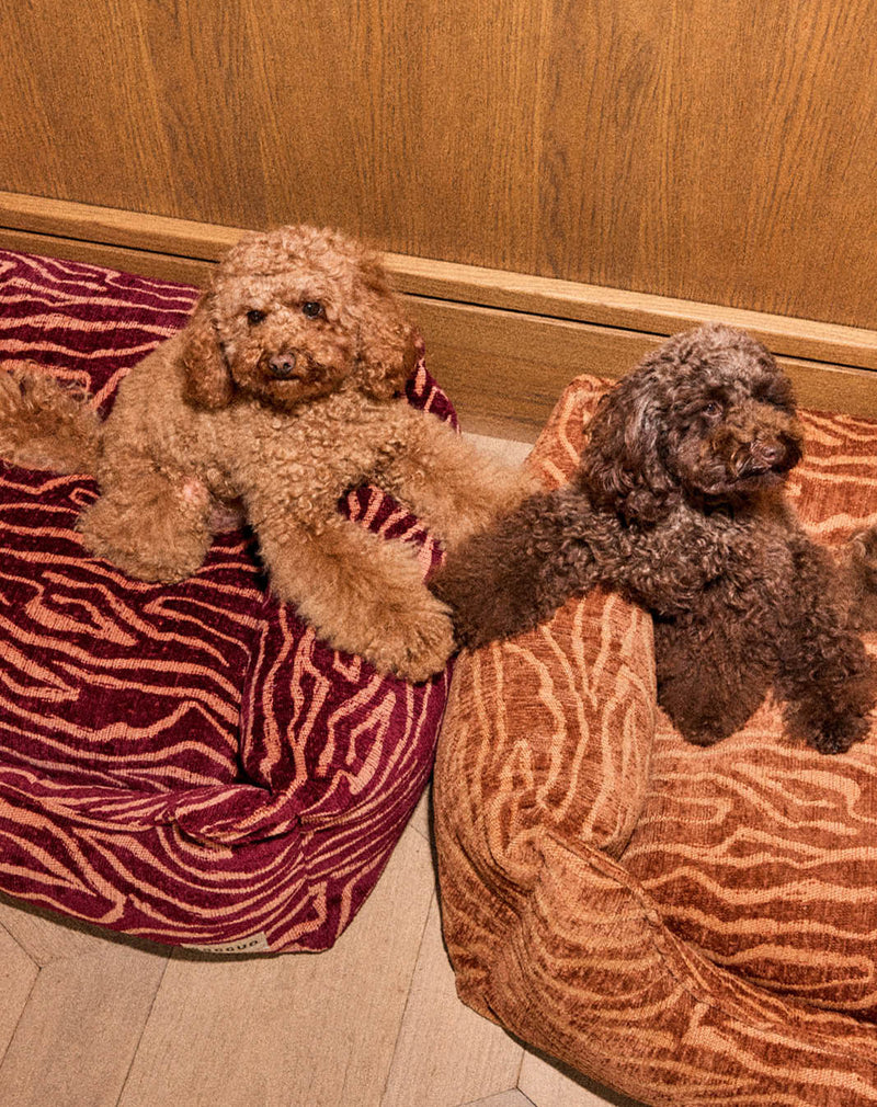 Ethnic sofa dog bed