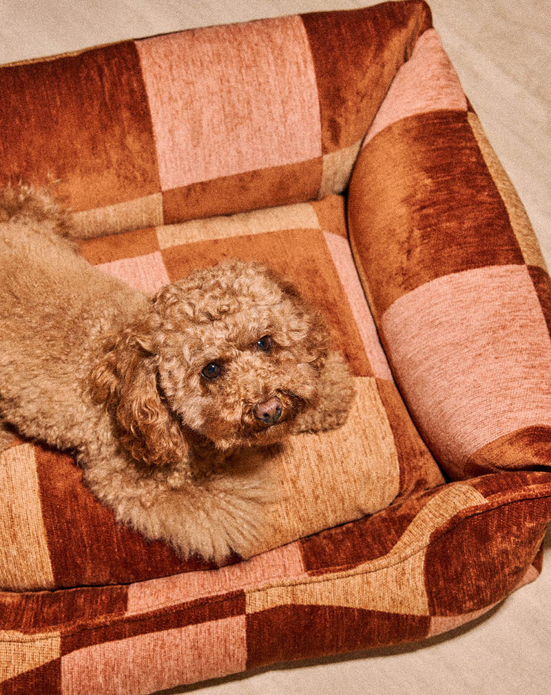 Block sofa dog bed