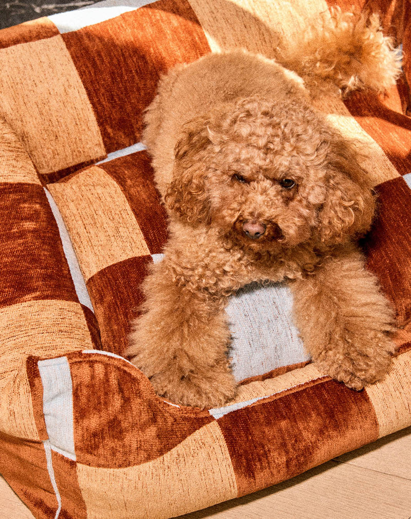Block sofa dog bed
