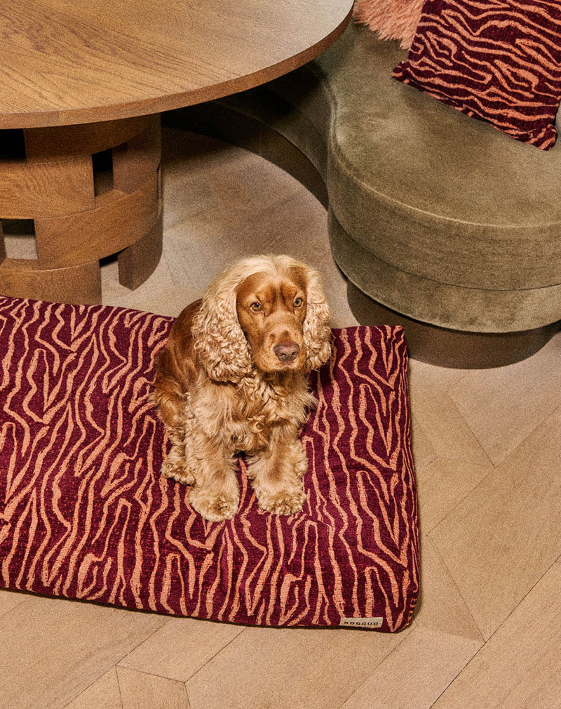 Ethnic dog bed