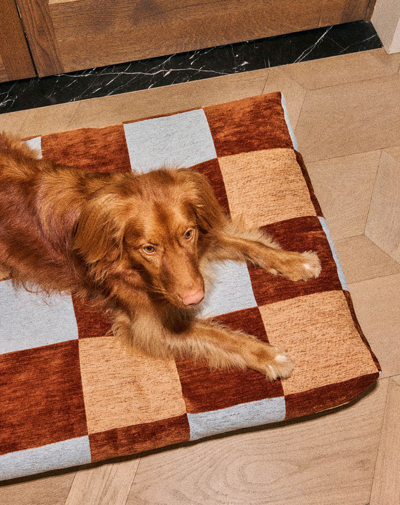 Block dog bed