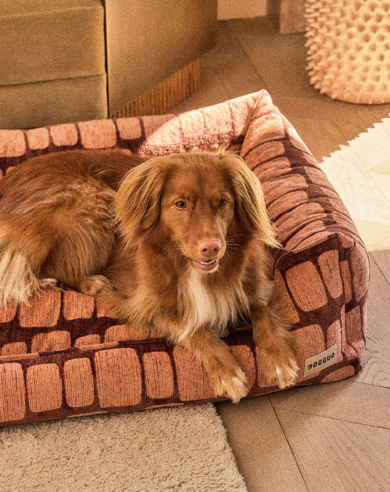 Staple stones sofa dog bed
