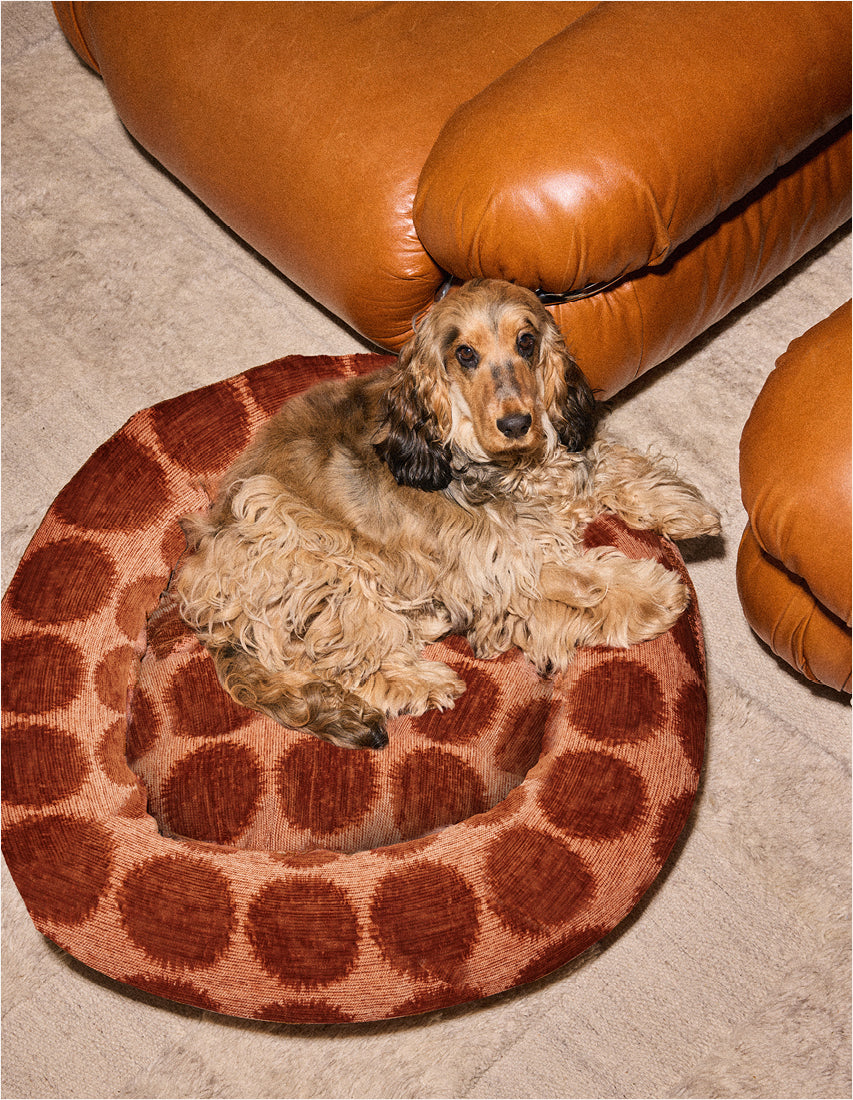 Dot round dog bed
