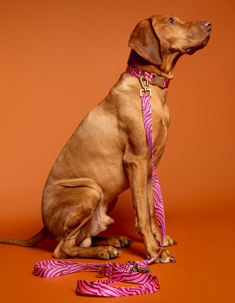 ZEBRA COLLAR - BORDEAUX/PINK