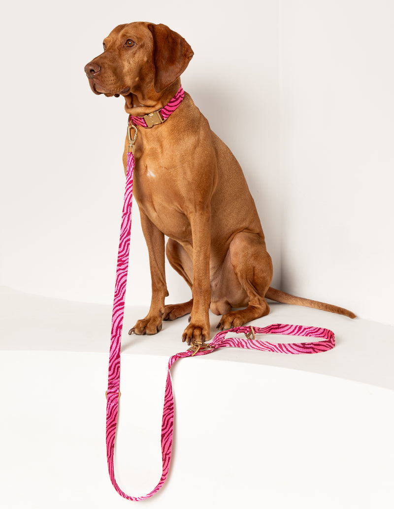 ZEBRA COLLAR - BORDEAUX/PINK