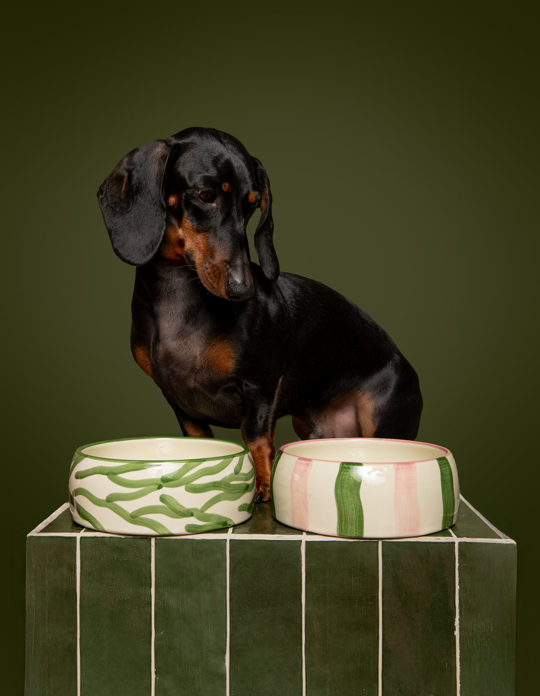 ZEBRA BOWL - BEIGE/GREEN