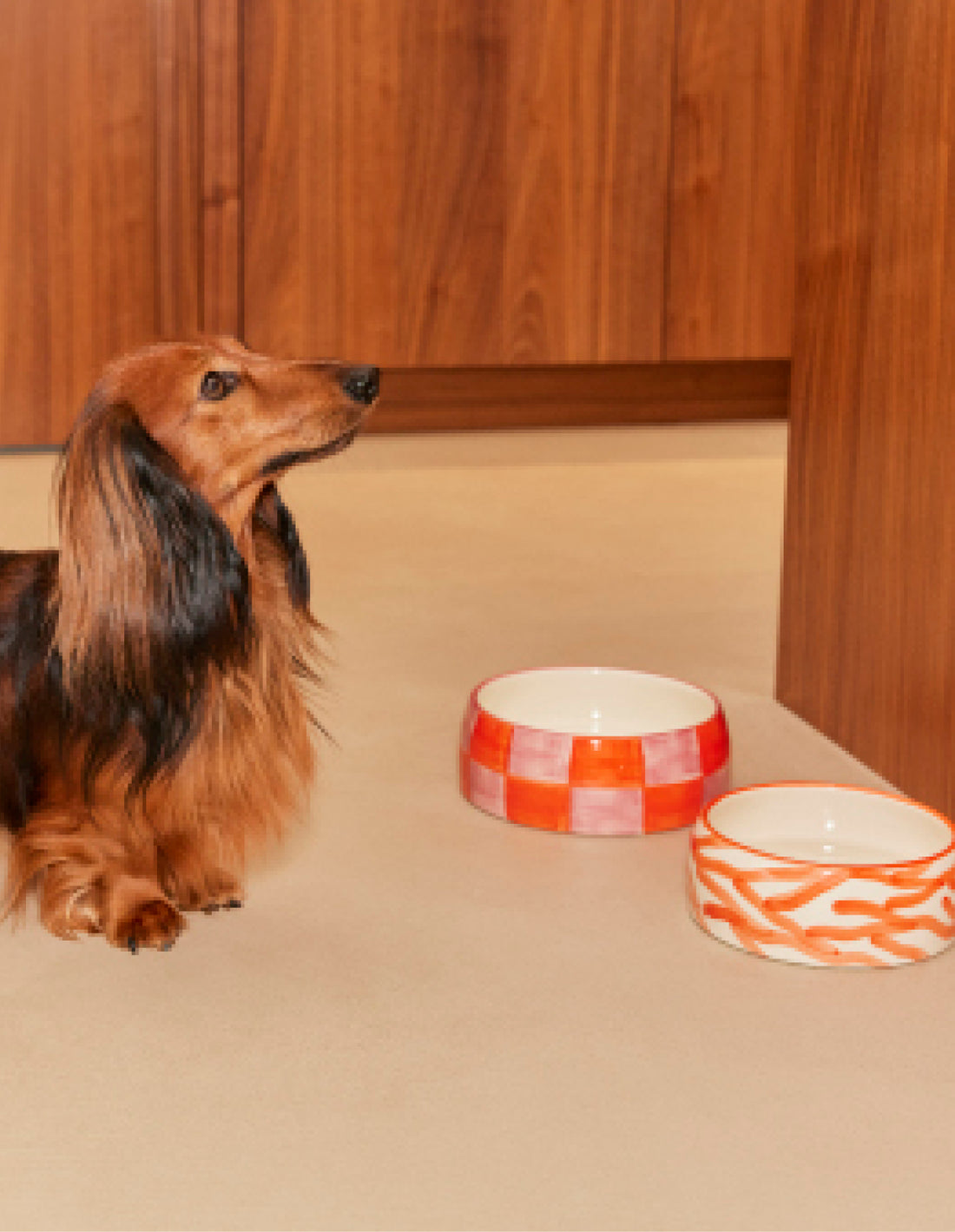 BLOCK DOGBOWL - PINK / ORANGE