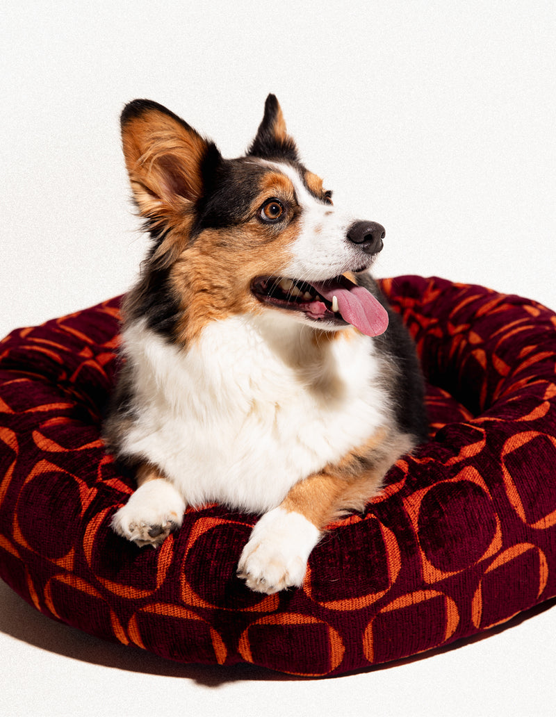 Retro ronde hondenmand - PRE ORDER - Verzending rond 23 december