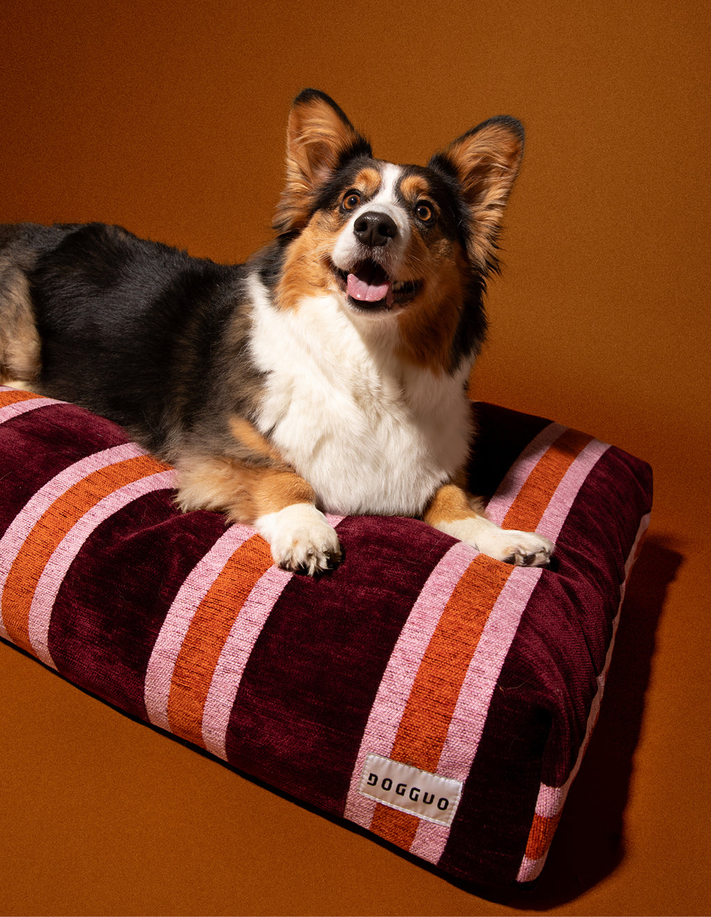Stripe dog bed