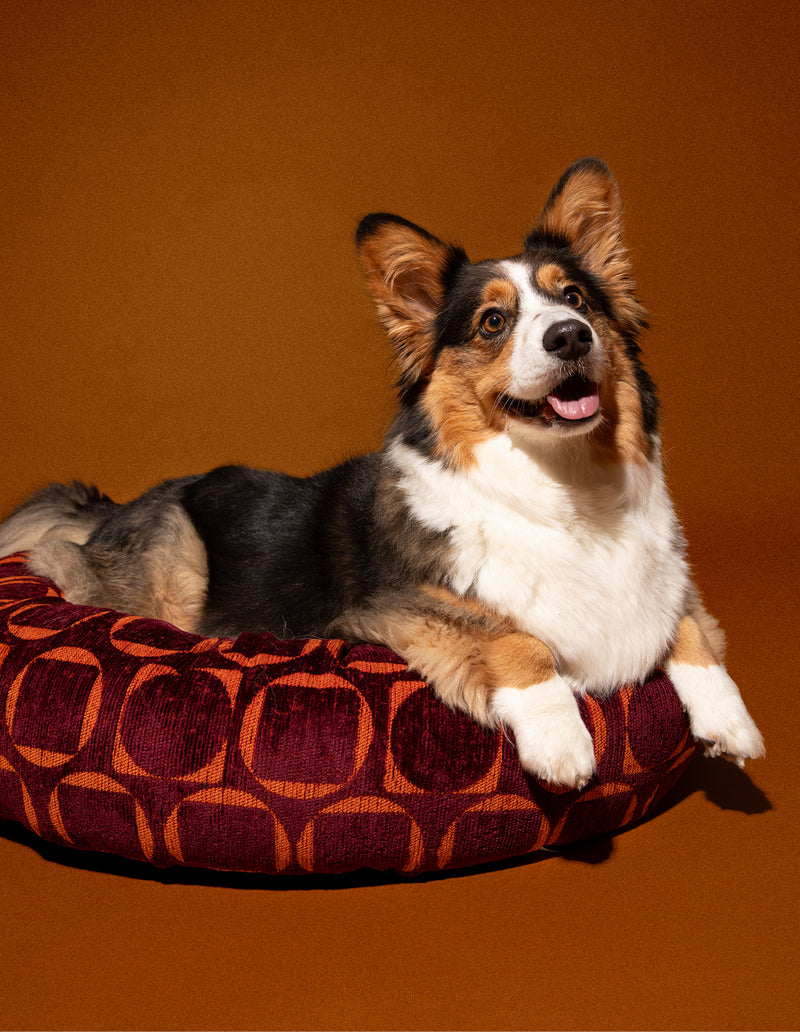 Retro ronde hondenmand - PRE ORDER - Verzending rond 23 december