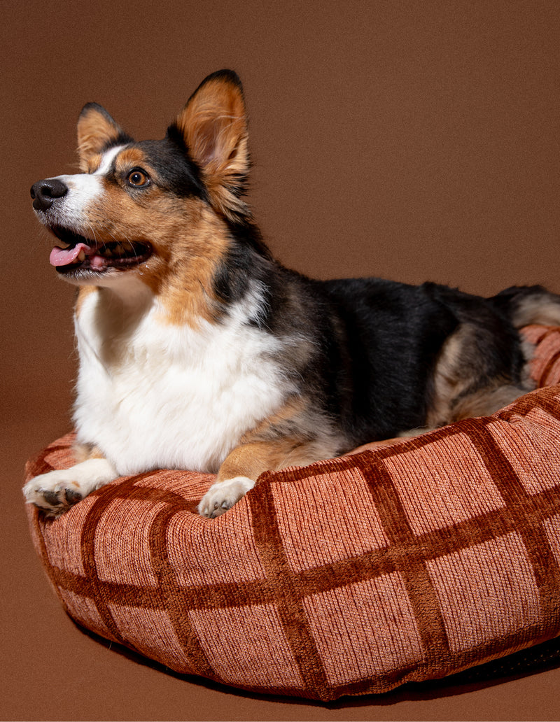 Check ronde hondenmand - PRE ORDER - Verzending rond 23 december